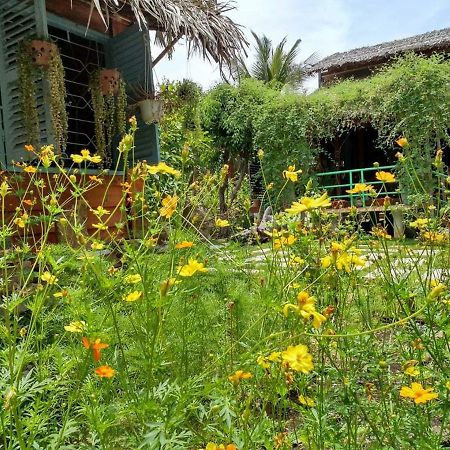 Bach Cuc Homestay Long Hải Exterior foto