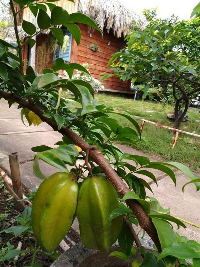 Bach Cuc Homestay Long Hải Exterior foto