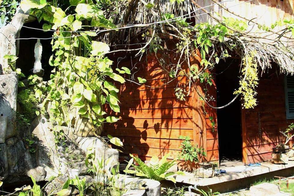 Bach Cuc Homestay Long Hải Exterior foto