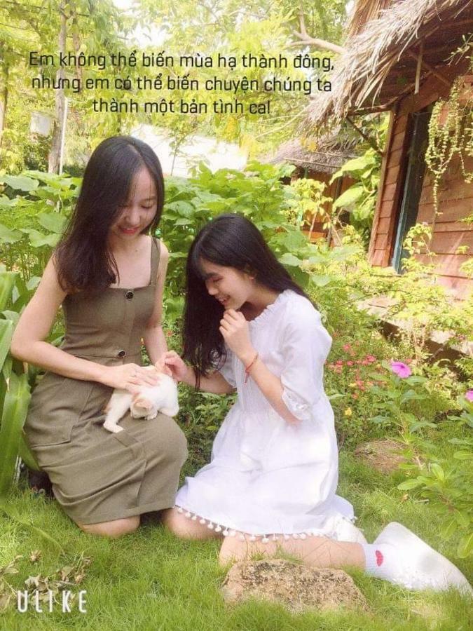 Bach Cuc Homestay Long Hải Exterior foto