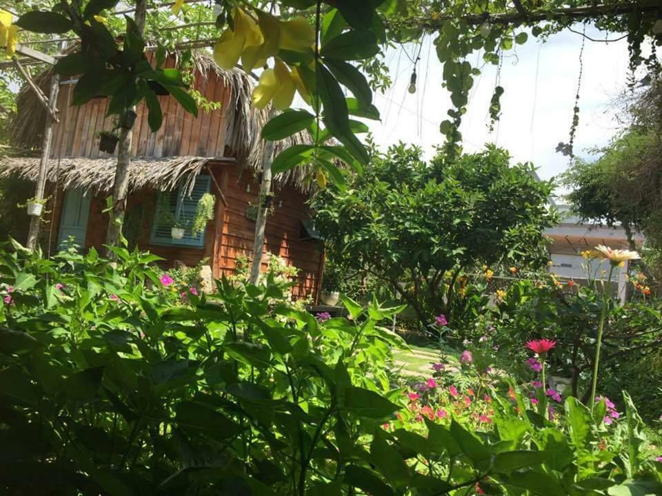 Bach Cuc Homestay Long Hải Exterior foto